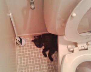 トイレの黒子さん